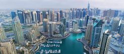 «دبي مارينا» أكثر المناطق العقارية طلباً في دبي